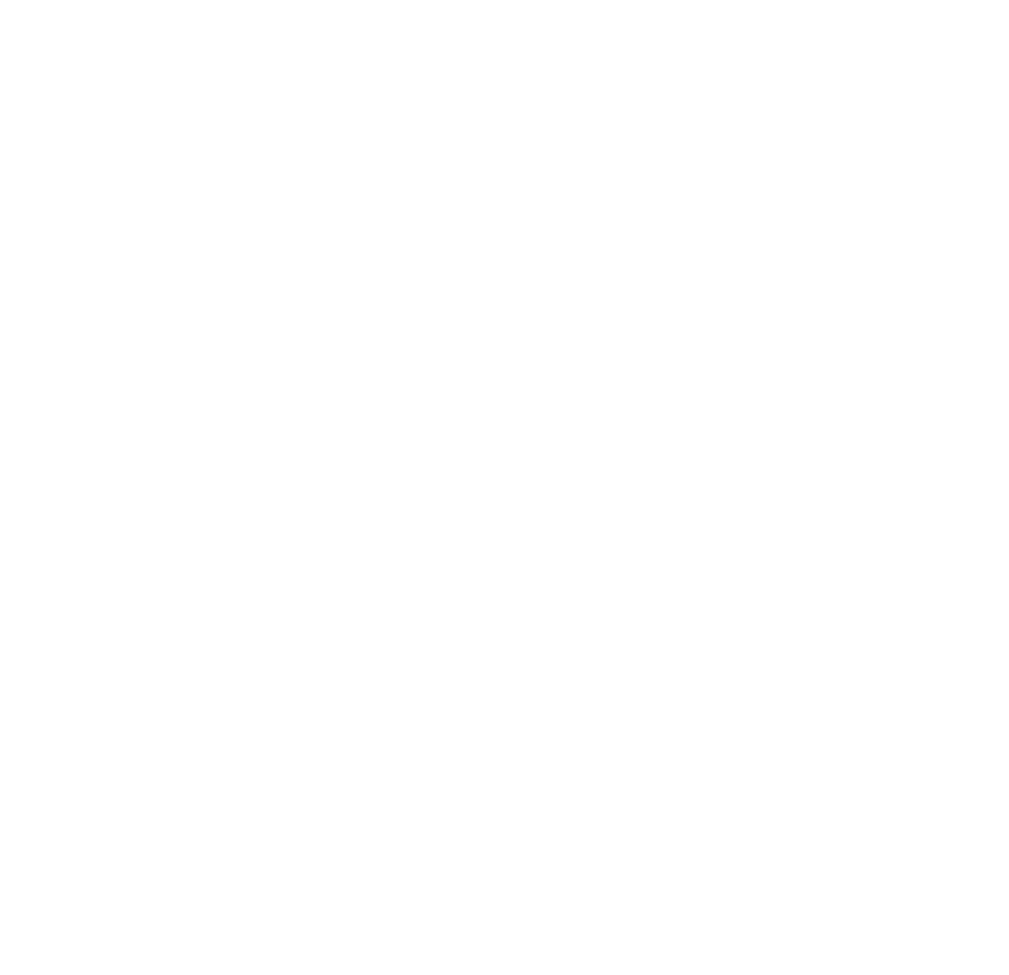 globe icon