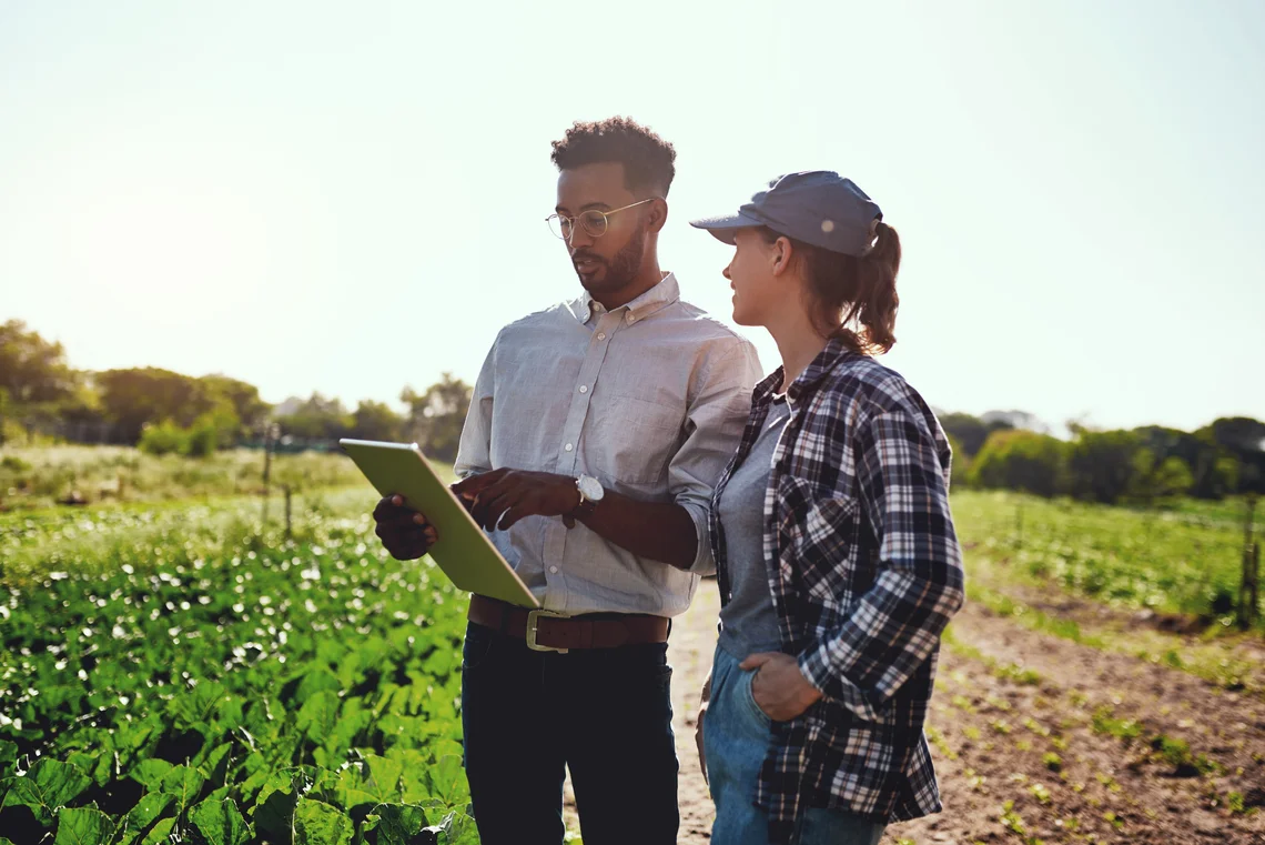 Safety Consultant in Field